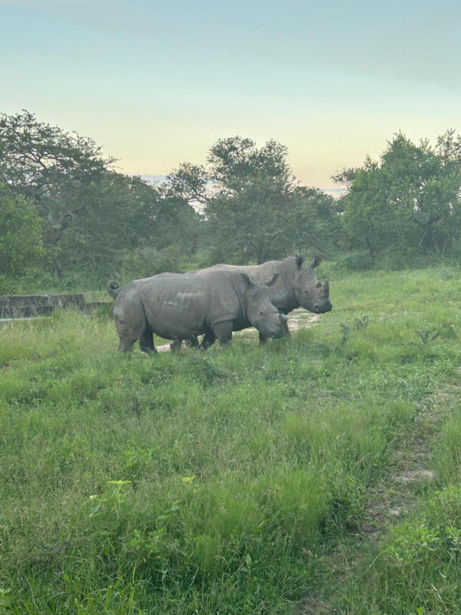 Am Lodge - Hoedspruit Luaran gambar