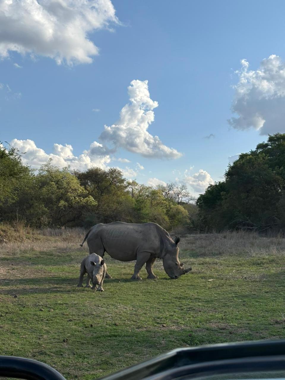 Am Lodge - Hoedspruit Luaran gambar